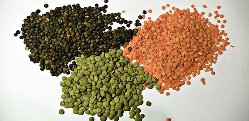 Anatolian Soil - lentil,rice,chickpeas,bulghur,pounded wheat,beans,foreign,trade